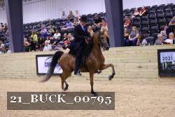 21_BUCK_00795 proof