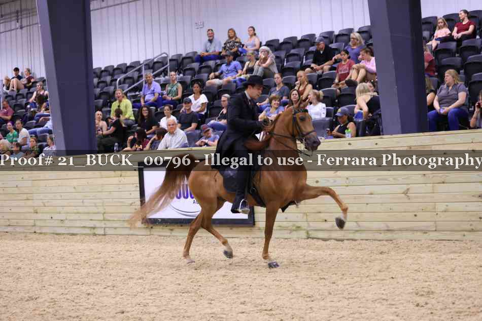 Proof 21_BUCK_00796