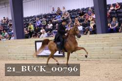 21_BUCK_00796 proof
