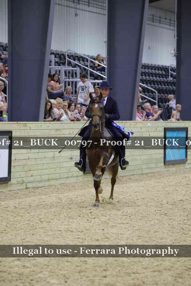 Proof 21_BUCK_00797