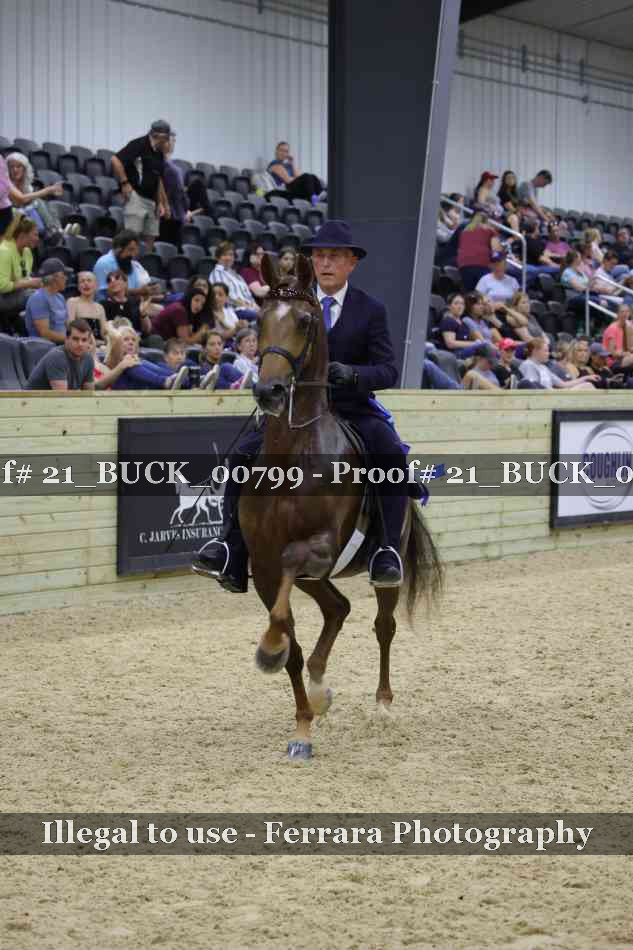 Proof 21_BUCK_00799