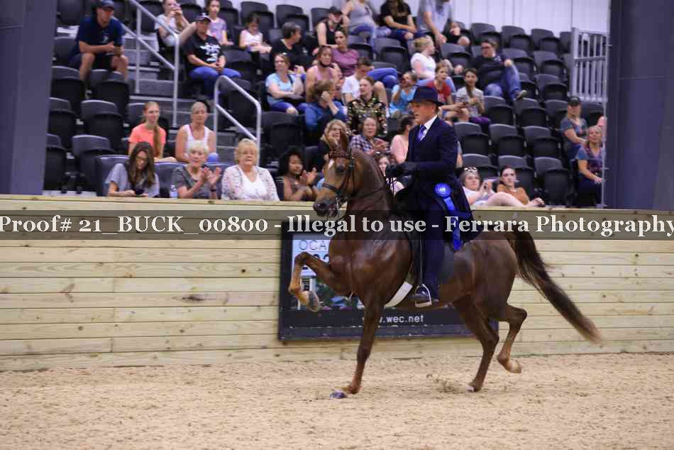 Proof 21_BUCK_00800