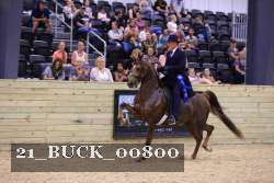 21_BUCK_00800 proof