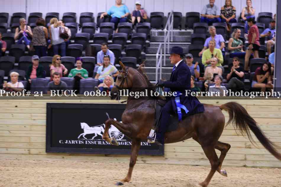 Proof 21_BUCK_00801