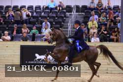 21_BUCK_00801 proof