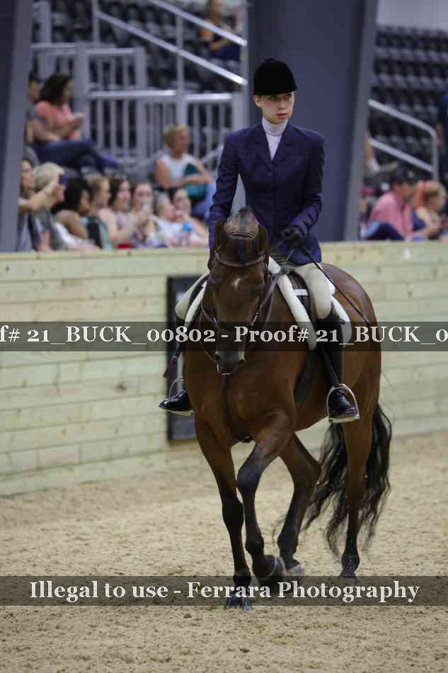 Proof 21_BUCK_00802