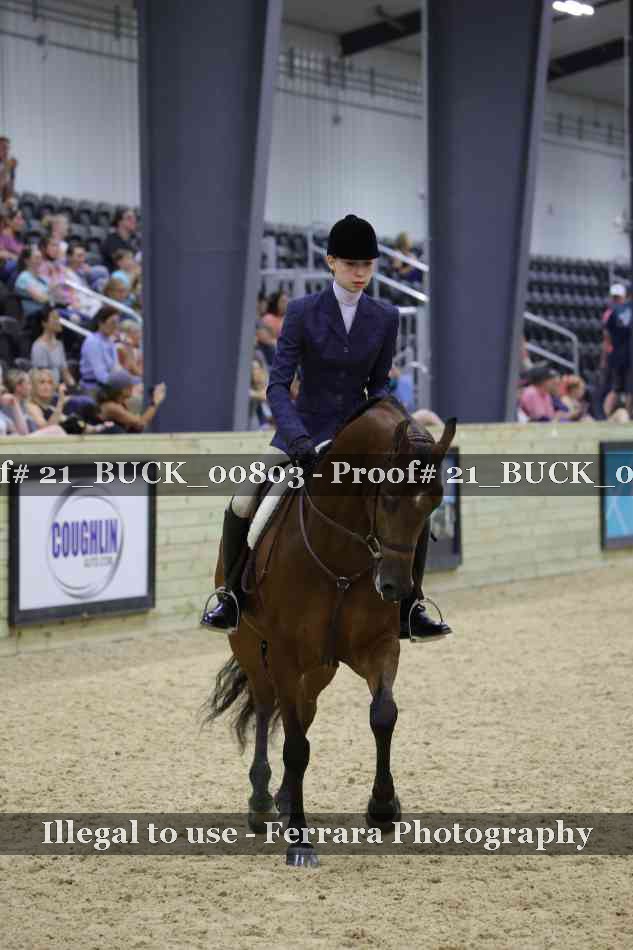 Proof 21_BUCK_00803