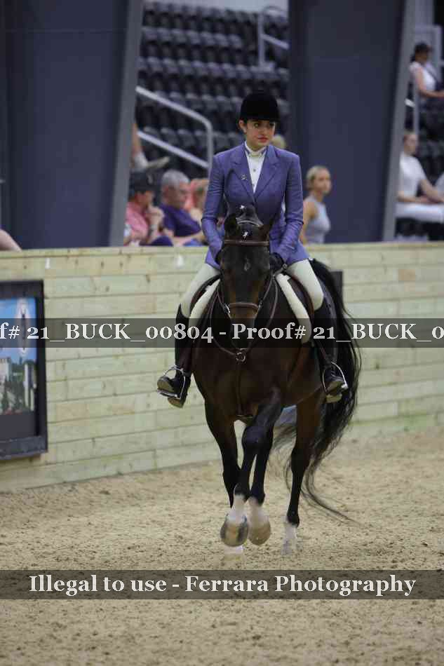 Proof 21_BUCK_00804