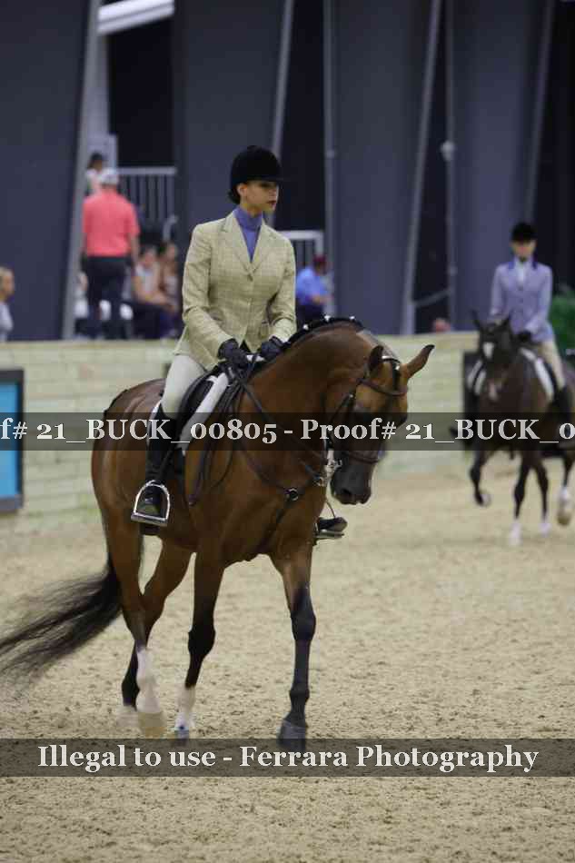 Proof 21_BUCK_00805