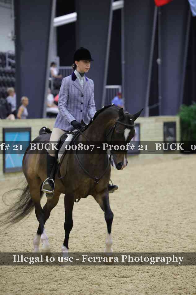 Proof 21_BUCK_00807