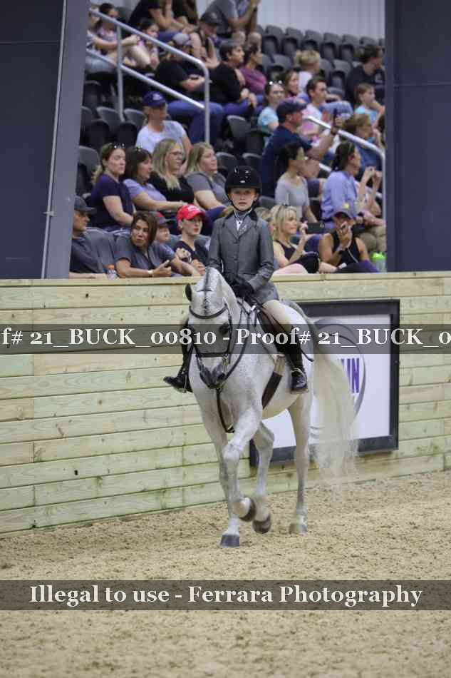 Proof 21_BUCK_00810