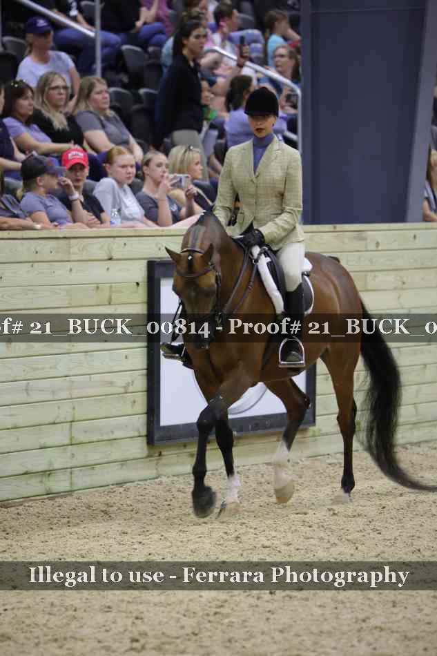 Proof 21_BUCK_00814