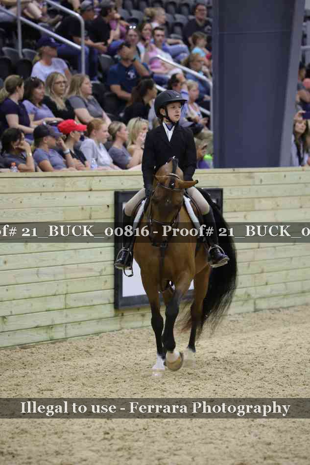 Proof 21_BUCK_00816