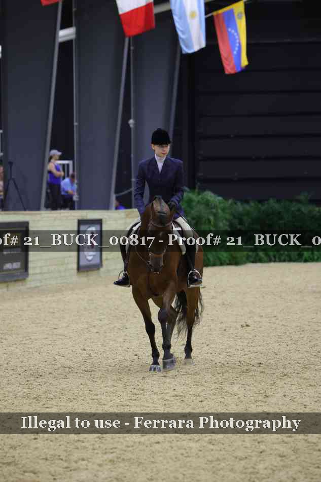 Proof 21_BUCK_00817