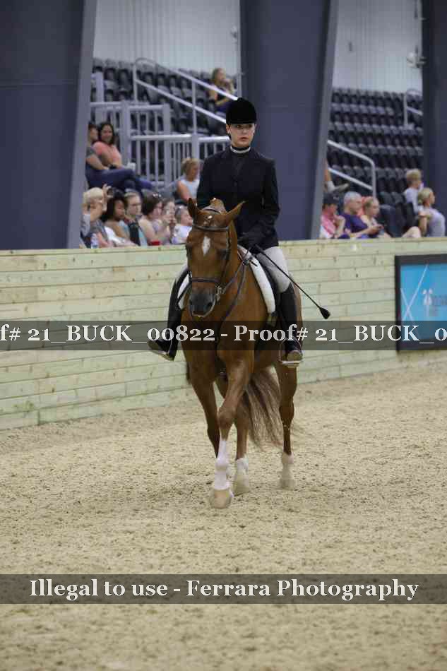 Proof 21_BUCK_00822