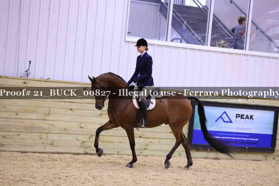 Proof 21_BUCK_00827