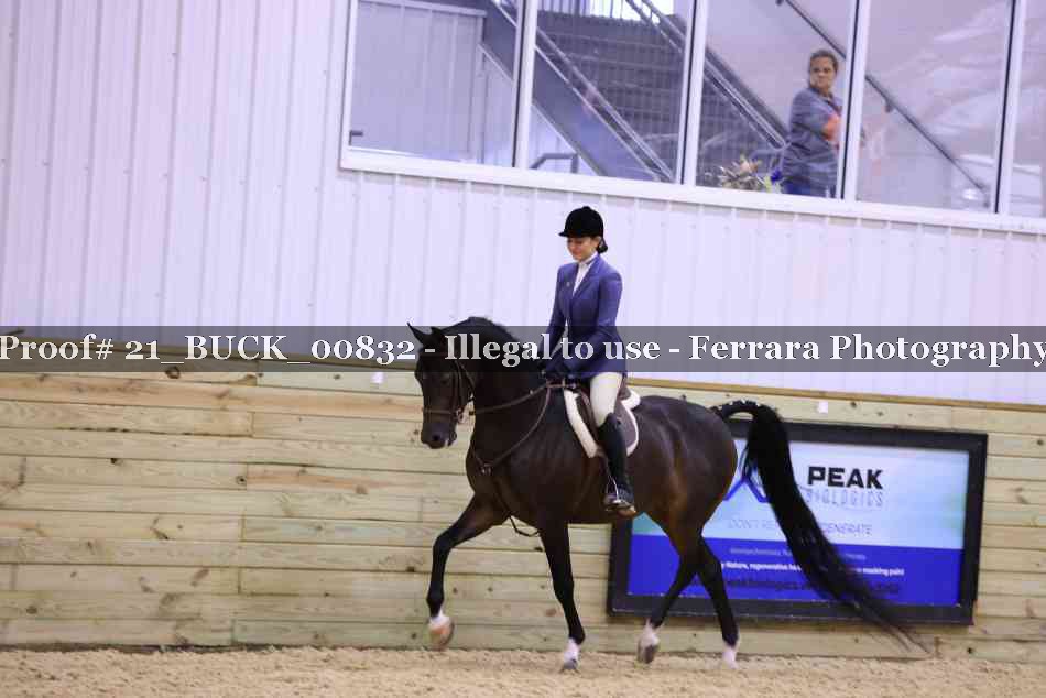 Proof 21_BUCK_00832