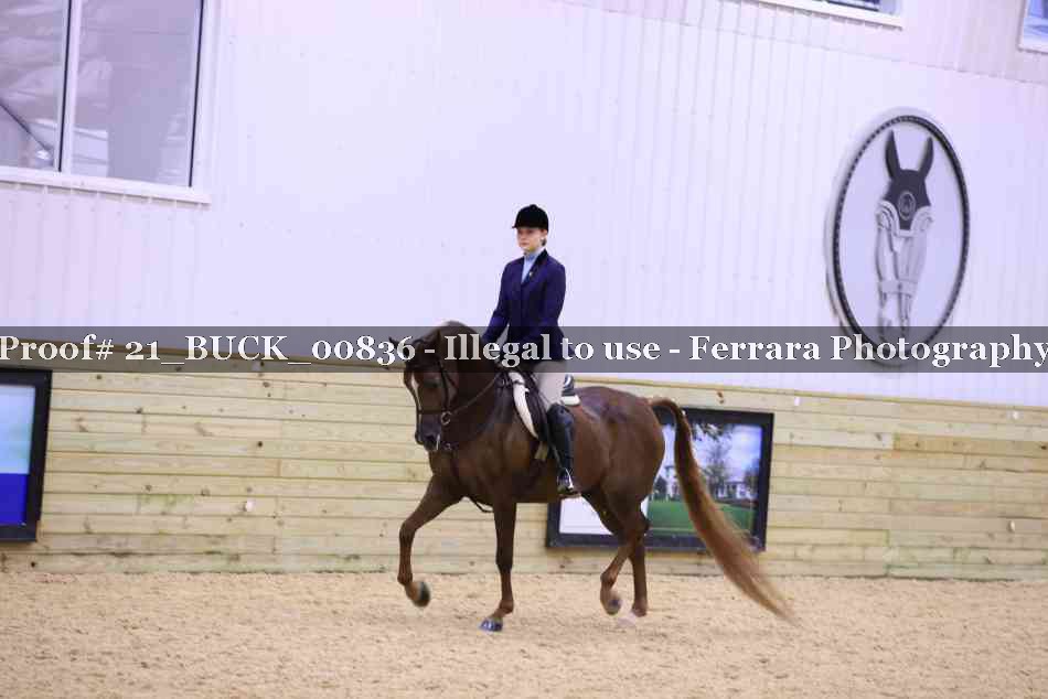 Proof 21_BUCK_00836