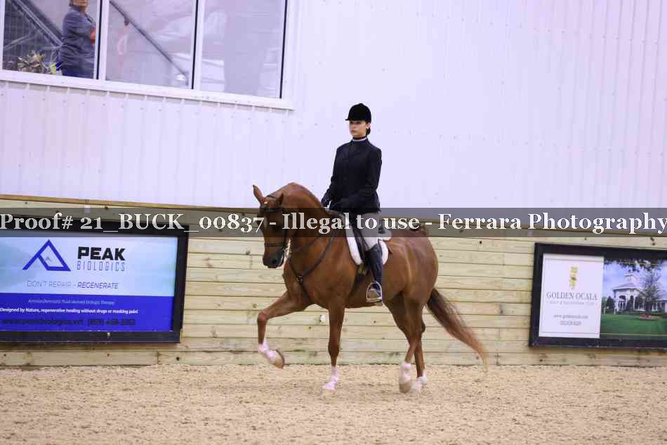 Proof 21_BUCK_00837
