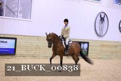 21_BUCK_00838 proof