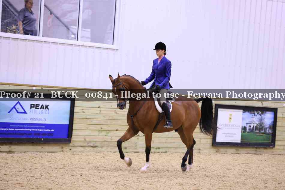 Proof 21_BUCK_00841