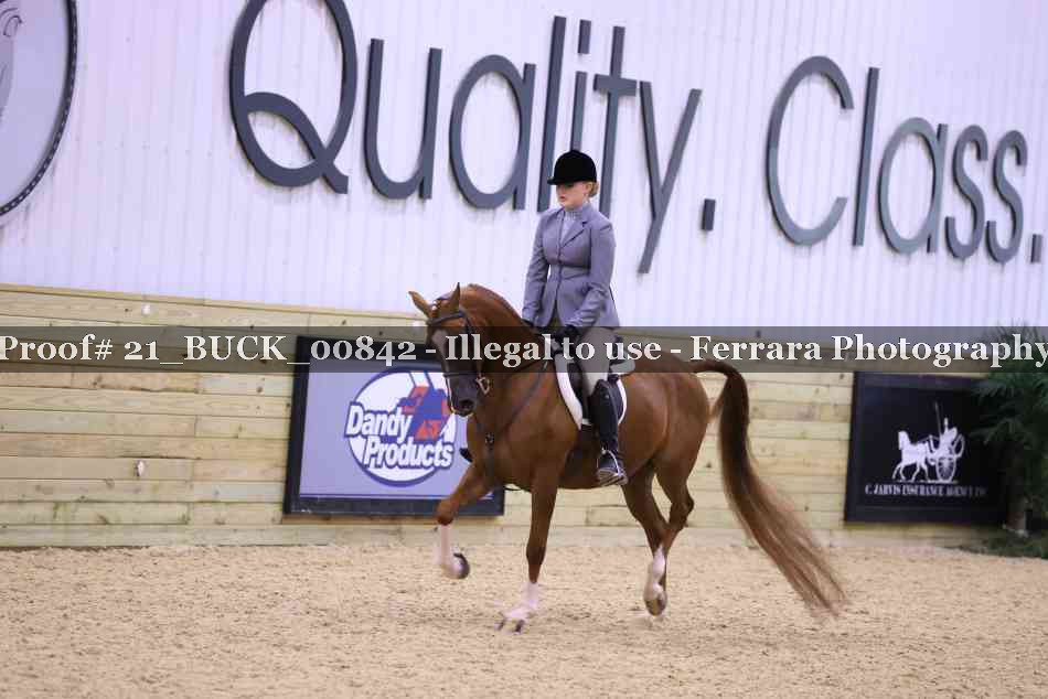 Proof 21_BUCK_00842