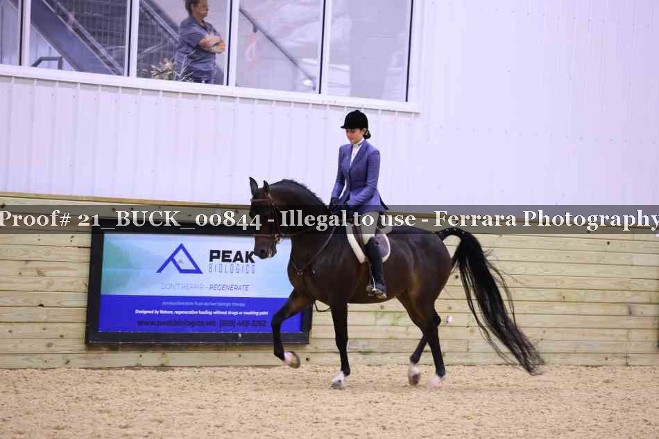Proof 21_BUCK_00844