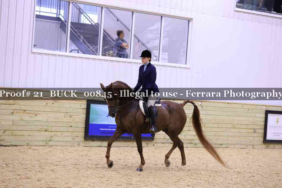 Proof 21_BUCK_00845