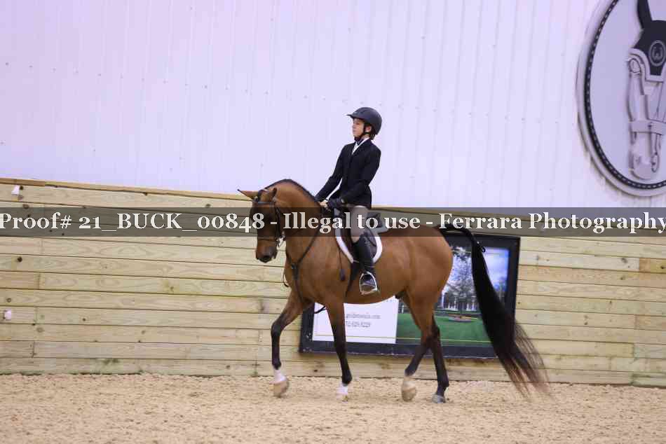 Proof 21_BUCK_00848