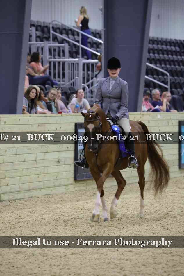 Proof 21_BUCK_00849