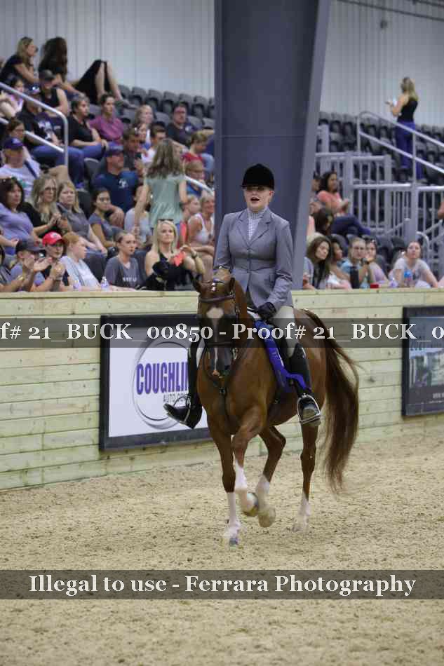 Proof 21_BUCK_00850