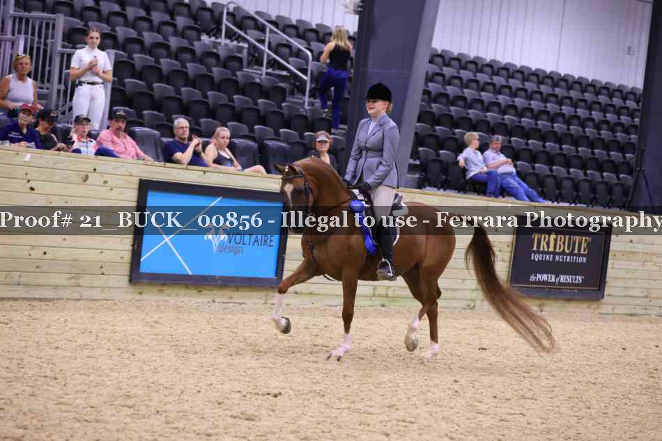Proof 21_BUCK_00856