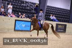 21_BUCK_00856 proof