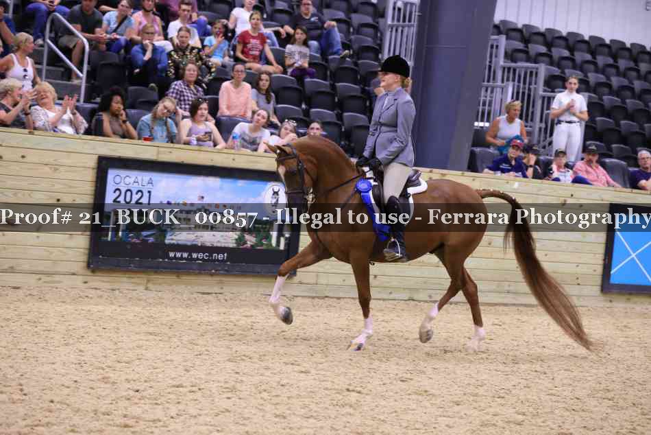 Proof 21_BUCK_00857