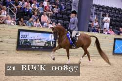 21_BUCK_00857 proof