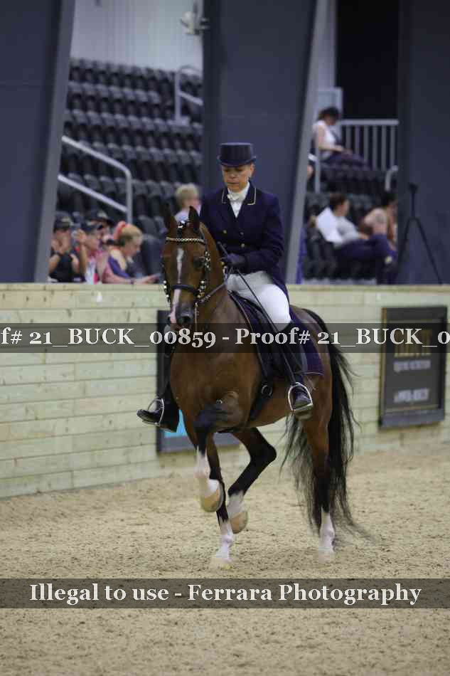 Proof 21_BUCK_00859