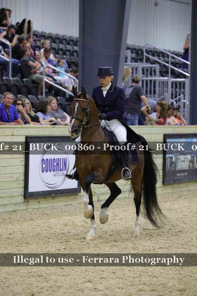 Proof 21_BUCK_00860