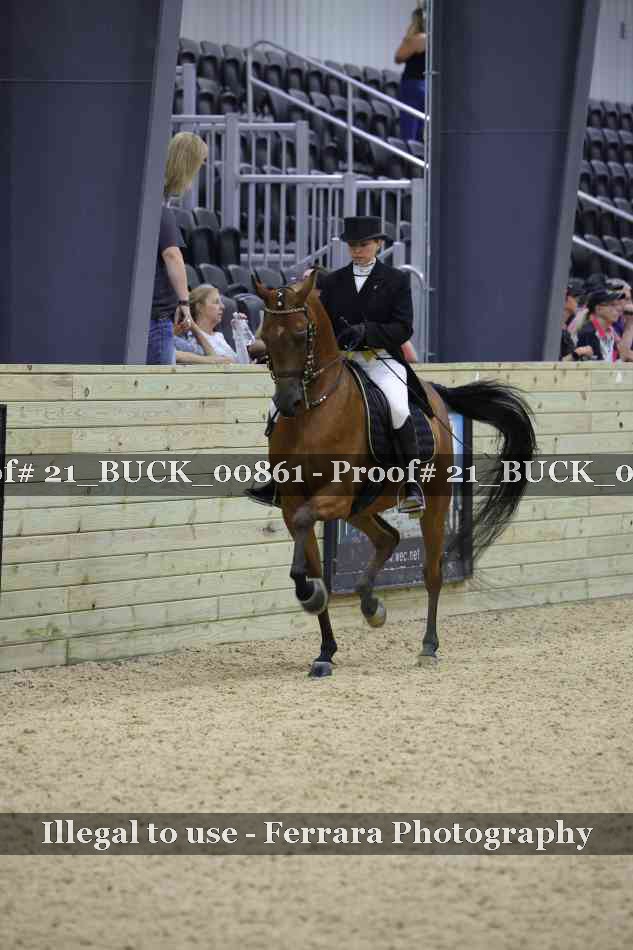 Proof 21_BUCK_00861