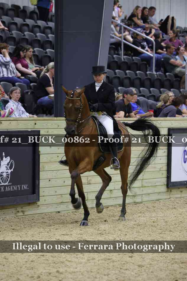 Proof 21_BUCK_00862