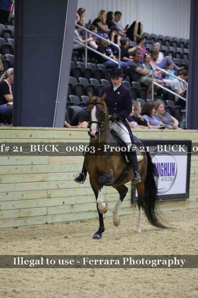 Proof 21_BUCK_00863