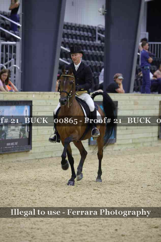 Proof 21_BUCK_00865