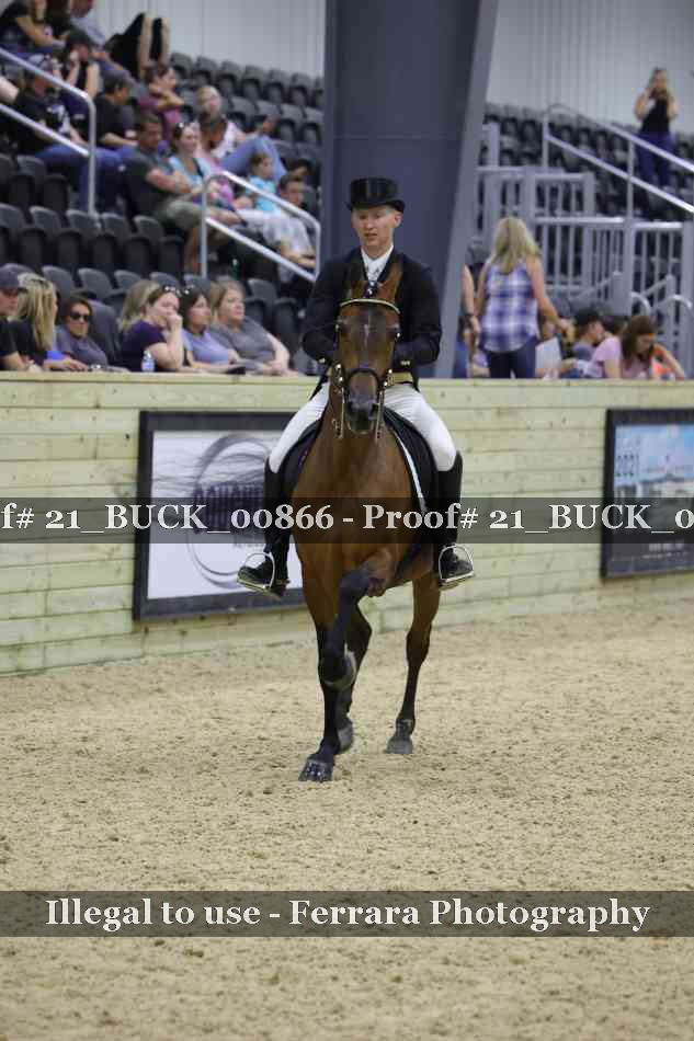 Proof 21_BUCK_00866