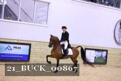 21_BUCK_00867 proof