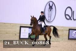 21_BUCK_00868 proof