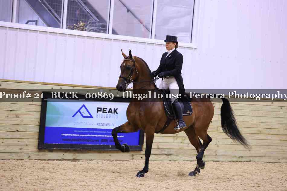 Proof 21_BUCK_00869