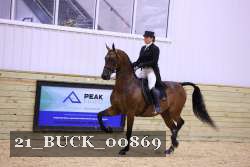 21_BUCK_00869 proof