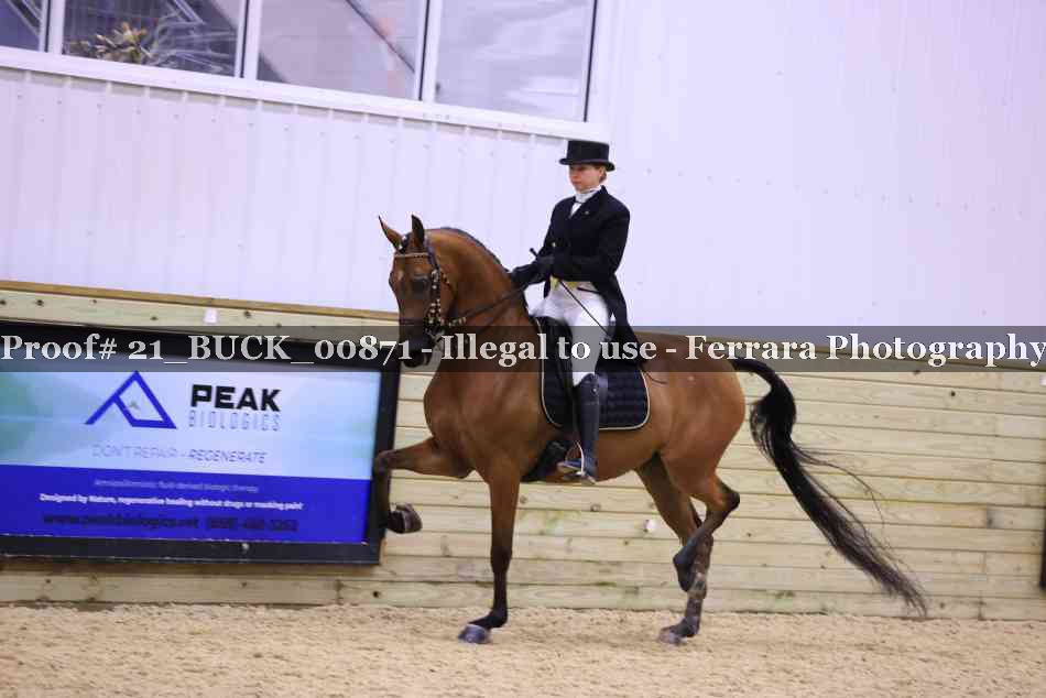 Proof 21_BUCK_00871