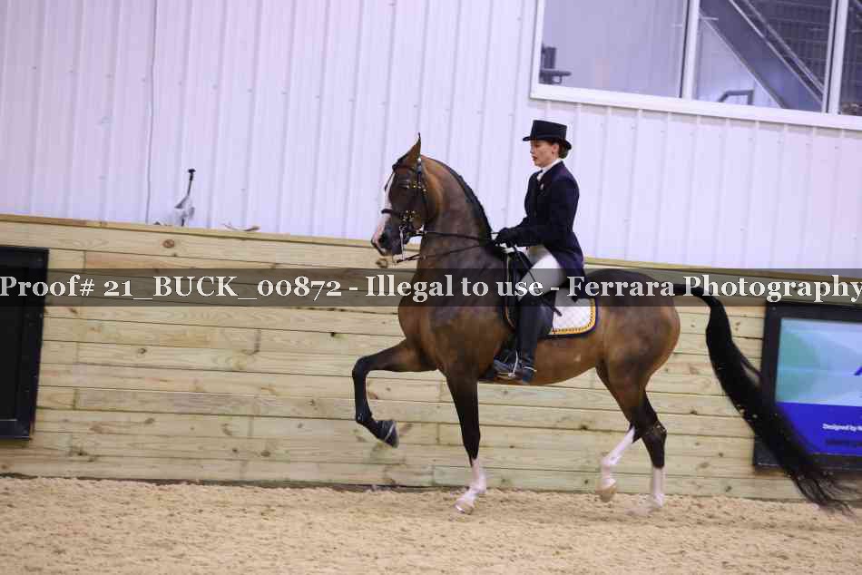 Proof 21_BUCK_00872