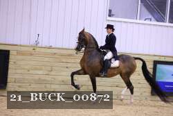 21_BUCK_00872 proof