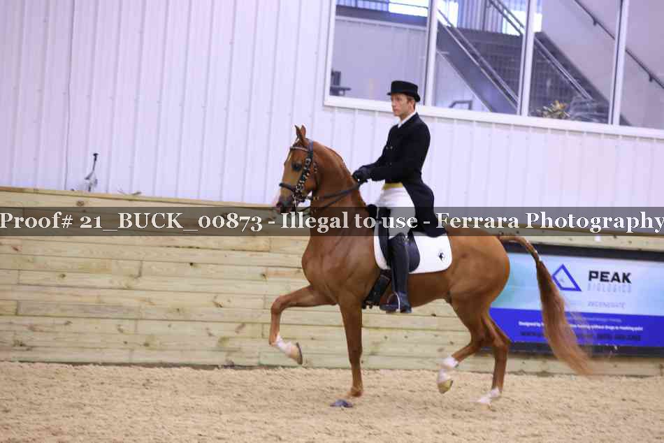 Proof 21_BUCK_00873